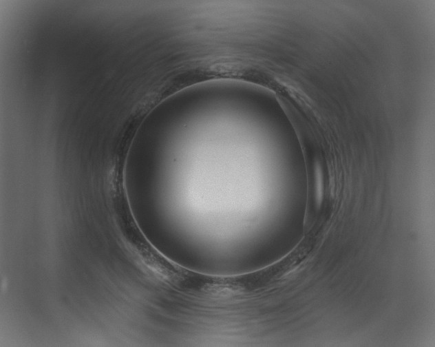 X0000073460597200607281249