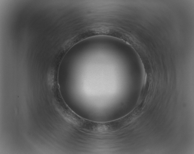 X0000073460600200607281249