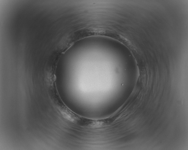 X0000073460609200607281249