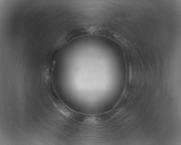 X0000073460611200607281249