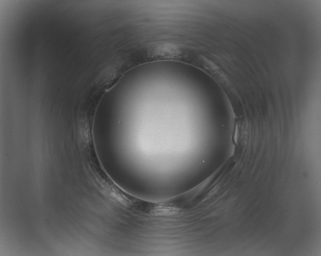 X0000073460617200607281249