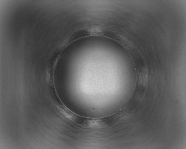 X0000073460618200607281249