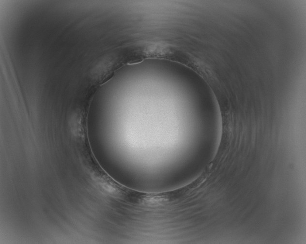 X0000073460619200607281249