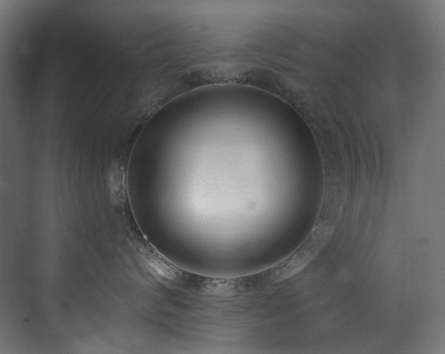 X0000073460624200607281249