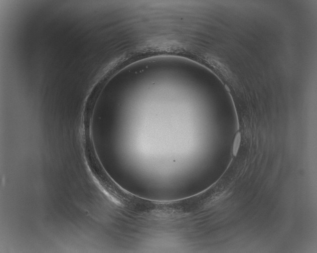 X0000073460630200607281248
