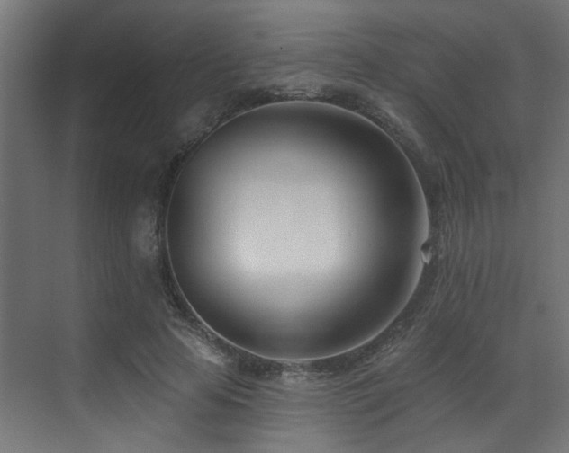 X0000073460641200607281248