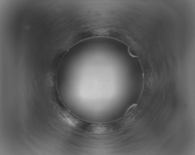 X0000073460658200607281248