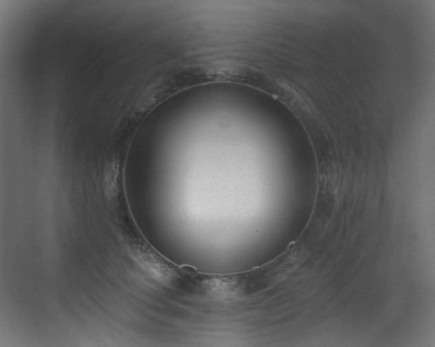 X0000073460660200607281248