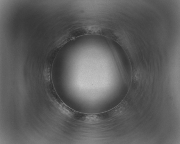 X0000073460666200607281248