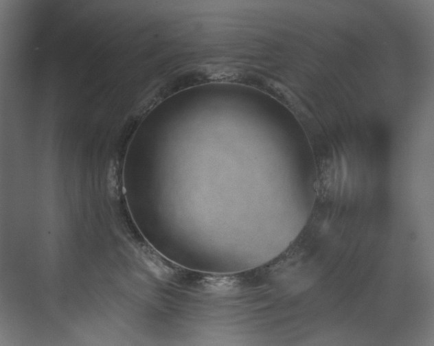 X0000073460667200607281248