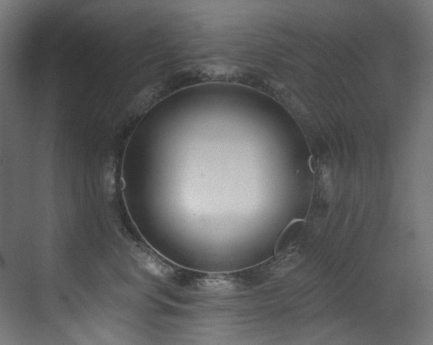 X0000073460668200607281248