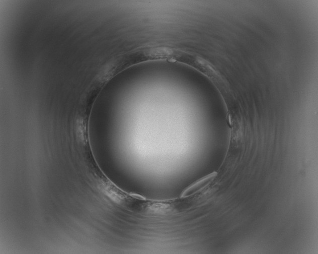 X0000073460669200607281248