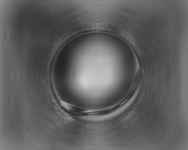 X0000073460673200607281248