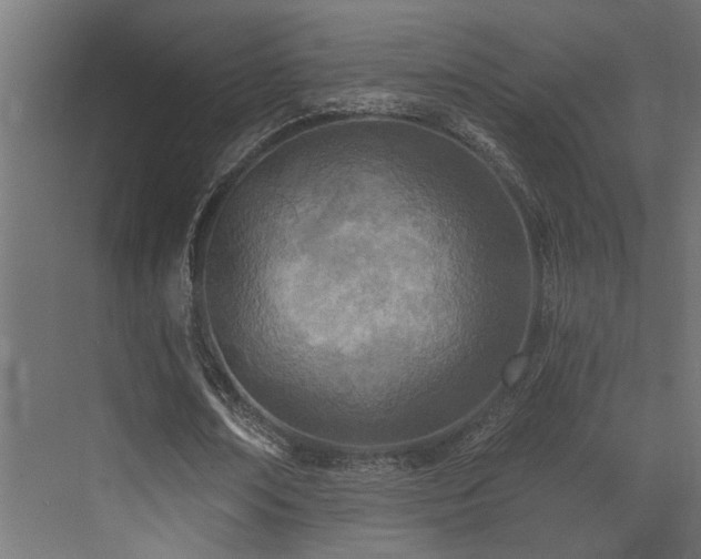 X0000073460674200607281248