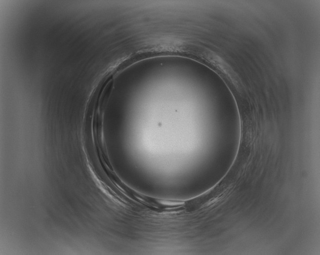 X0000073460677200607281248
