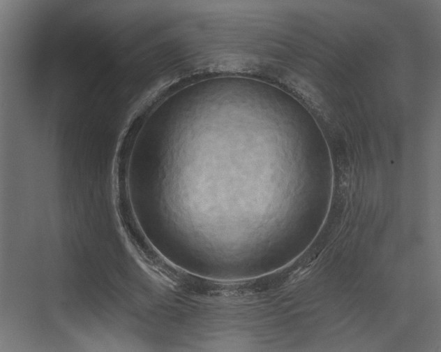 X0000073460678200607281248