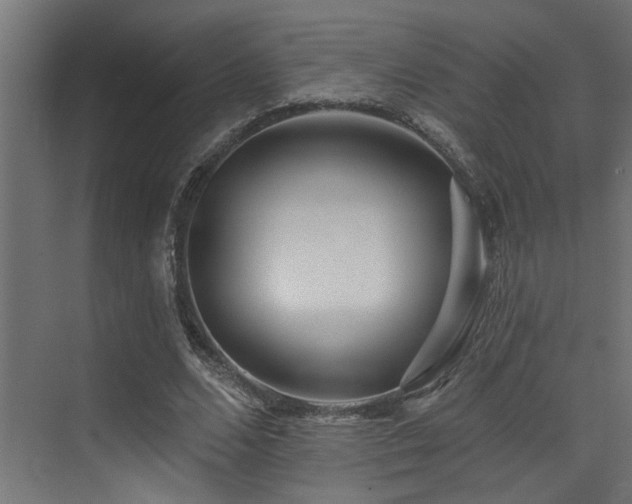 X0000073460680200607281248