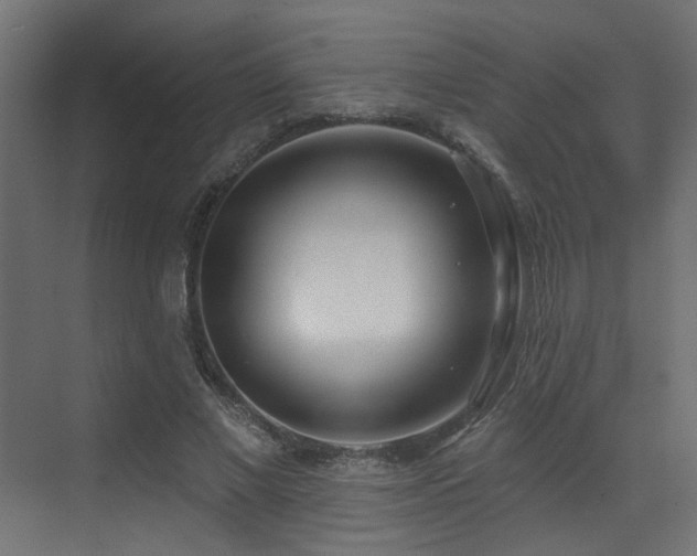 X0000073460685200607281248