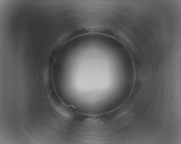 X0000073460690200607281247