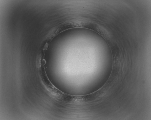 X0000073460694200607281247