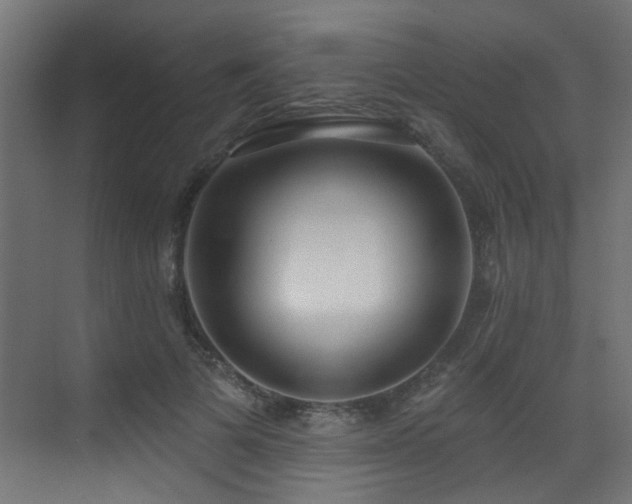 X0000073460697200607281247