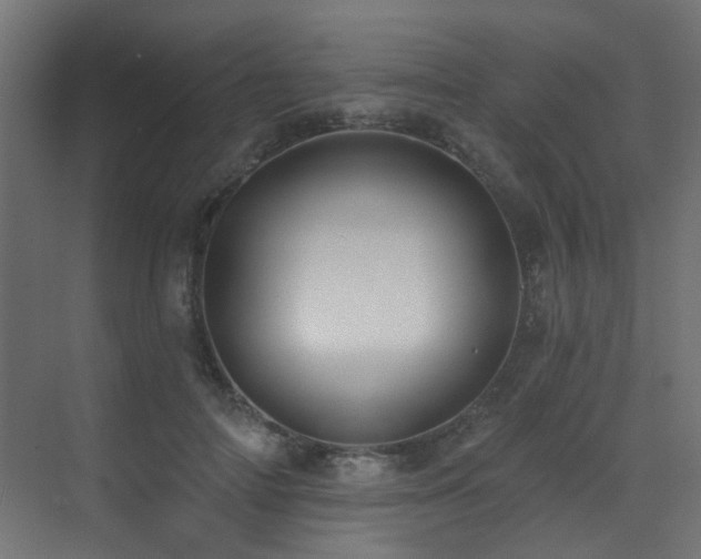 X0000073460698200607281247