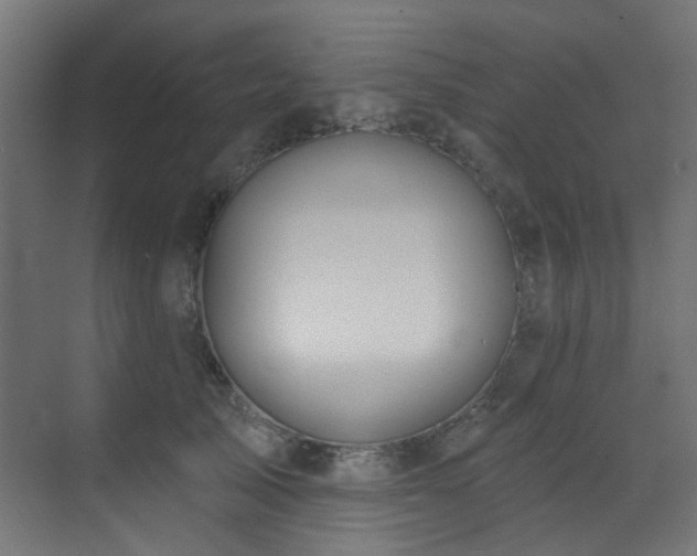 X0000073460705200607281247