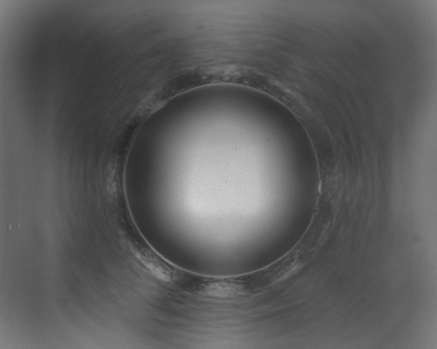 X0000073460708200607281247