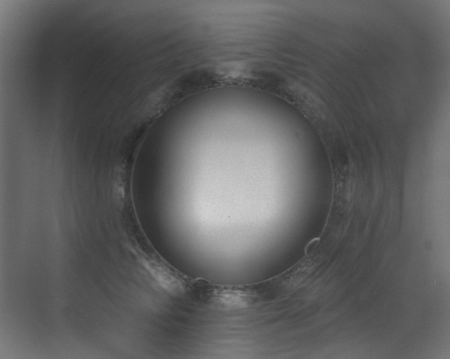X0000073460710200607281247