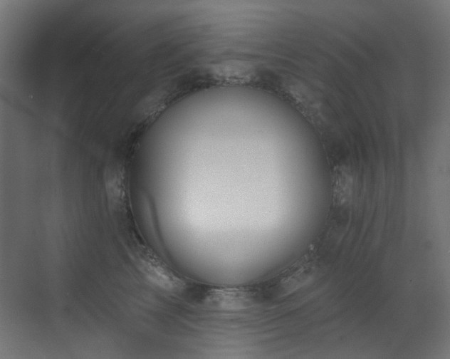 X0000073460713200607281247
