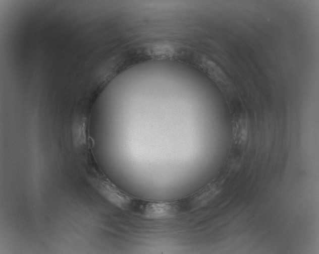 X0000073460717200607281247