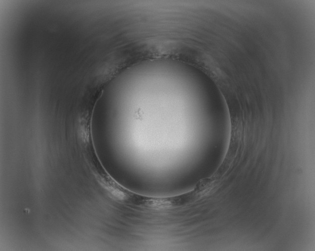 X0000073460719200607281247
