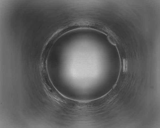 X0000073460723200607281246