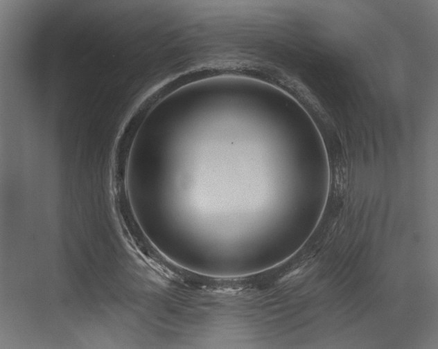 X0000073460724200607281246