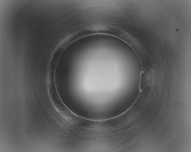 X0000073460732200607281246