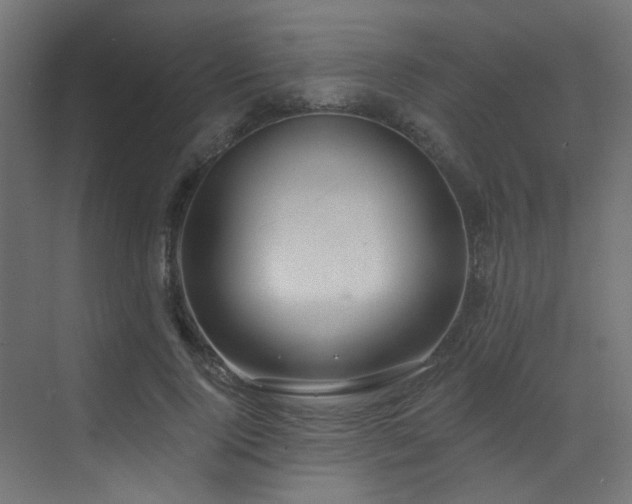X0000073460740200607281246