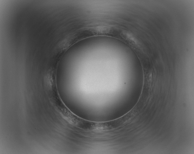 X0000073460746200607281247