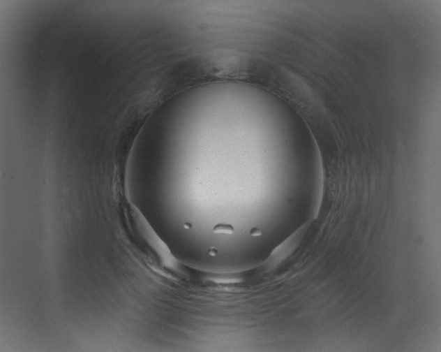 X0000073460748200607281247