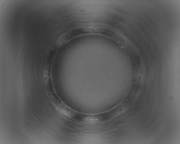X0000073460749200607281247