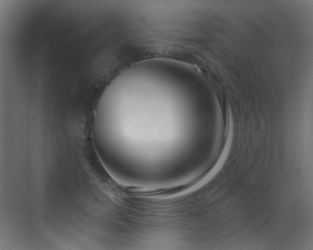 X0000073460750200607281247