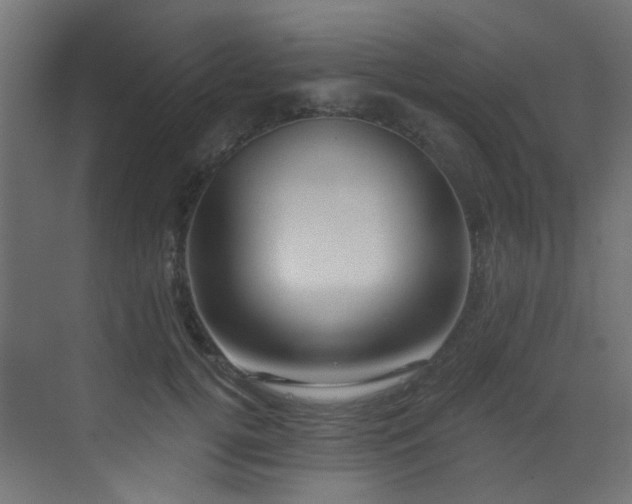 X0000073460752200607281247