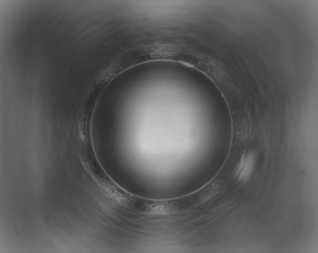 X0000073460755200607281247