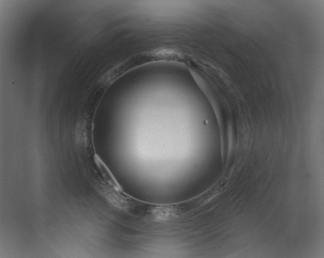 X0000073460762200607281247