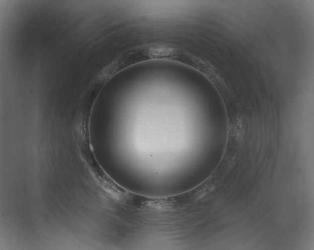 X0000073460763200607281247