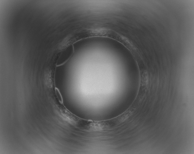X0000073460764200607281247