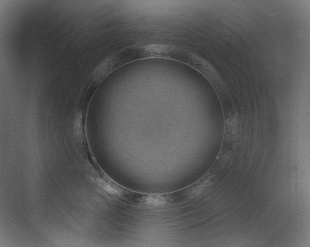 X0000073460765200607281247