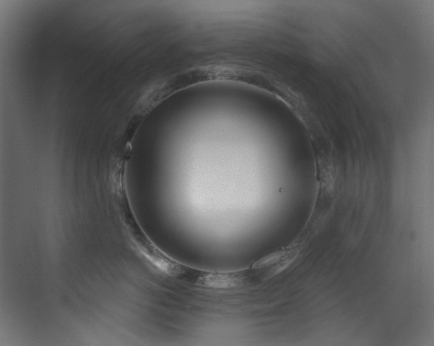 X0000073460766200607281247