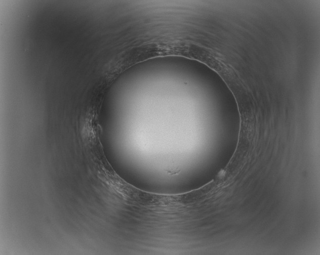 X0000073460770200607281246
