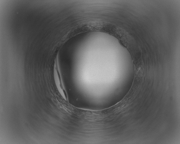 X0000073460772200607281246