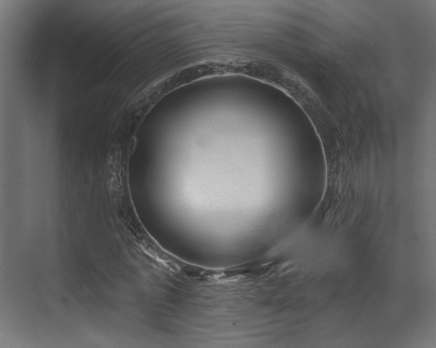 X0000073460773200607281246